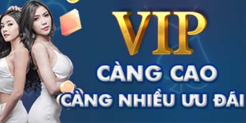 Các cấp độ trong chương trình VIP Leo88