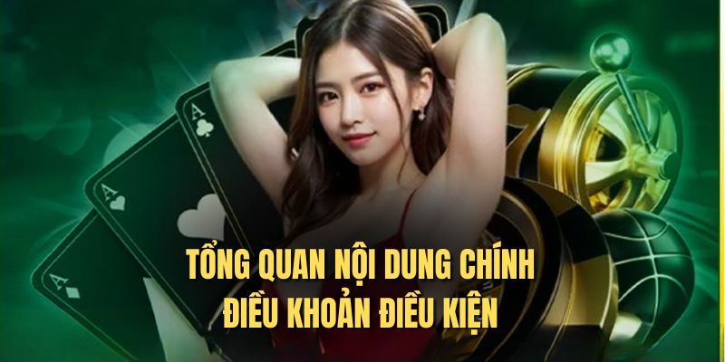 Những điểm nổi bật trong điều khoản dịch vụ Leo88